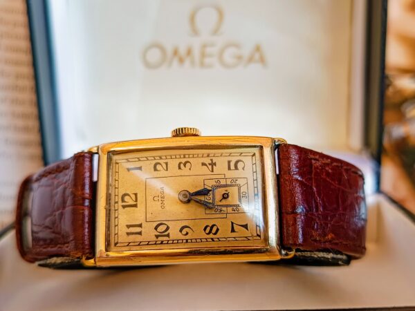 IMG 20250611 1733132 600x450