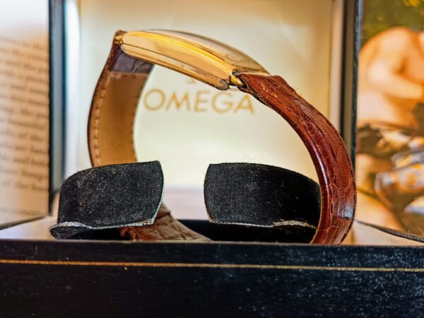 IMG 20250611 1734572 600x450